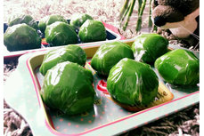 清明時節(jié)吃什么美食？全國各地18種清明美食大集合（多圖）